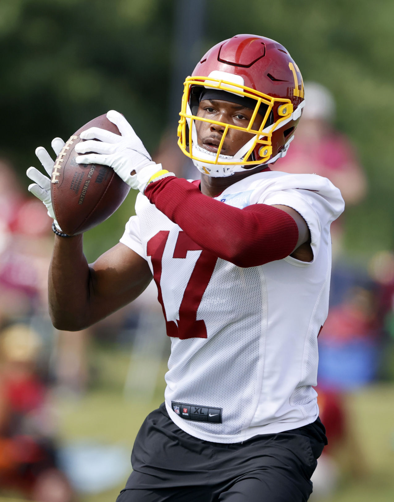 Fan appreciation day at Washington training camp